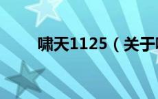 啸天1125（关于啸天1125的介绍）