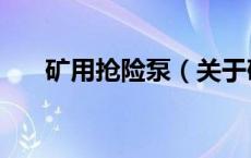 矿用抢险泵（关于矿用抢险泵的介绍）