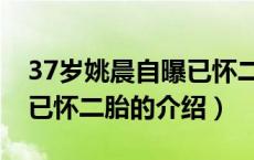 37岁姚晨自曝已怀二胎（关于37岁姚晨自曝已怀二胎的介绍）