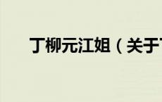 丁柳元江姐（关于丁柳元江姐的介绍）