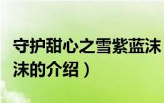 守护甜心之雪紫蓝沫（关于守护甜心之雪紫蓝沫的介绍）