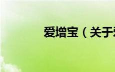 爱增宝（关于爱增宝的介绍）