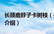 长颈鹿脖子卡树枝（关于长颈鹿脖子卡树枝的介绍）