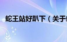 蛇王站好趴下（关于蛇王站好趴下的介绍）