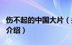 伤不起的中国大片（关于伤不起的中国大片的介绍）