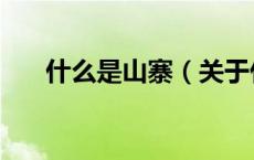 什么是山寨（关于什么是山寨的介绍）