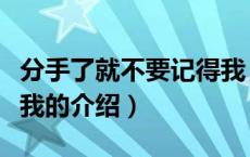 分手了就不要记得我（关于分手了就不要记得我的介绍）