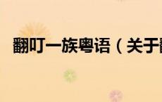 翻叮一族粤语（关于翻叮一族粤语的介绍）