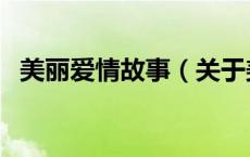 美丽爱情故事（关于美丽爱情故事的介绍）
