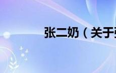 张二奶（关于张二奶的介绍）