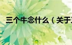 三个牛念什么（关于三个牛念什么的介绍）