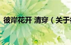 彼岸花开 清穿（关于彼岸花开 清穿的介绍）