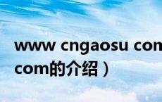 www cngaosu com（关于www cngaosu com的介绍）