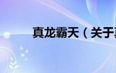 真龙霸天（关于真龙霸天的介绍）
