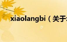 xiaolangbi（关于xiaolangbi的介绍）