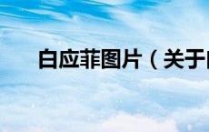 白应菲图片（关于白应菲图片的介绍）
