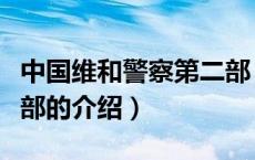 中国维和警察第二部（关于中国维和警察第二部的介绍）