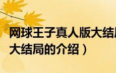 网球王子真人版大结局（关于网球王子真人版大结局的介绍）
