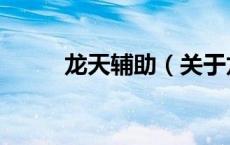 龙天辅助（关于龙天辅助的介绍）