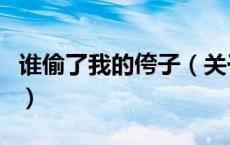 谁偷了我的侉子（关于谁偷了我的侉子的介绍）