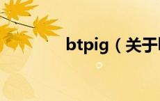 btpig（关于btpig的介绍）