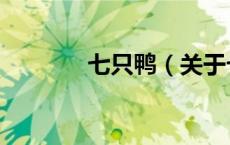 七只鸭（关于七只鸭的介绍）