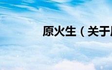 原火生（关于原火生的介绍）