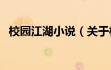 校园江湖小说（关于校园江湖小说的介绍）