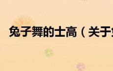 兔子舞的士高（关于兔子舞的士高的介绍）