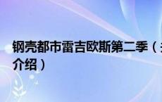 钢壳都市雷吉欧斯第二季（关于钢壳都市雷吉欧斯第二季的介绍）
