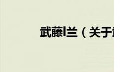武藤l兰（关于武藤l兰的介绍）