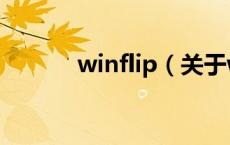 winflip（关于winflip的介绍）