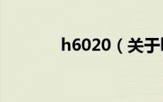 h6020（关于h6020的介绍）