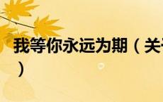 我等你永远为期（关于我等你永远为期的介绍）