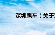 深圳飙车（关于深圳飙车的介绍）