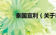 泰国宣利（关于泰国宣利的介绍）