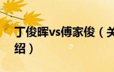 丁俊晖vs傅家俊（关于丁俊晖vs傅家俊的介绍）