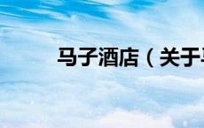 马子酒店（关于马子酒店的介绍）