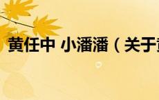 黄任中 小潘潘（关于黄任中 小潘潘的介绍）