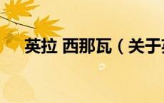 英拉 西那瓦（关于英拉 西那瓦的介绍）