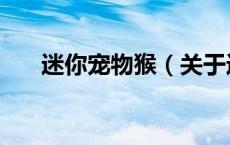 迷你宠物猴（关于迷你宠物猴的介绍）