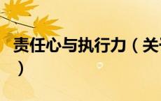 责任心与执行力（关于责任心与执行力的介绍）