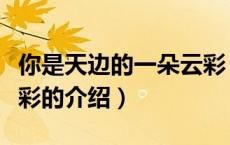 你是天边的一朵云彩（关于你是天边的一朵云彩的介绍）