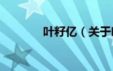 叶籽亿（关于叶籽亿的介绍）