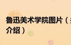 鲁迅美术学院图片（关于鲁迅美术学院图片的介绍）