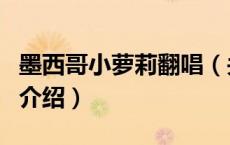 墨西哥小萝莉翻唱（关于墨西哥小萝莉翻唱的介绍）