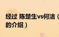 经过 陈楚生vs何洁（关于经过 陈楚生vs何洁的介绍）