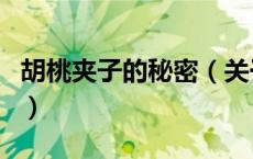 胡桃夹子的秘密（关于胡桃夹子的秘密的介绍）