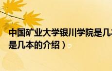 中国矿业大学银川学院是几本（关于中国矿业大学银川学院是几本的介绍）