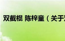 双截棍 陈梓童（关于双截棍 陈梓童的介绍）